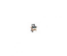 Ferraboli Barbecue A Gas Roccia Legno Fb-52