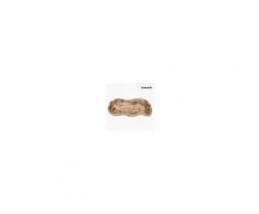 Homania Centrotavola NaturalAutumn Collezione by