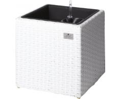 Secchio per pianta da giardino in polyrattan, incl. elemento in plastica e sistema per innaffio per interno ed esterno, bianco, 37 x 37 x 37 cm