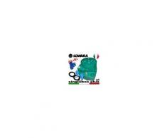 Lowara - Stazione di sollevamento SINGLEBOX PLUS - MULTI - SL - VNR per acque nere completa di kit slitta - valvola antiriflusso - galleggianti speciali - predisposta per una pompa sommersa senza galleggiante