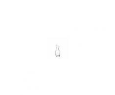 Bormioli Caraffa Inalto Invito 25 Cl