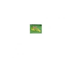 INTEX 57132 Piscina Intex Per Bambini Piccoli Gator Play Center
