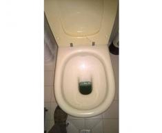 Astra Sedile Wc Copriwater Per Modello Mia Marca