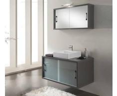 TFT Home Furniture Arredo Bagno Gv01 Color Pino Grigio