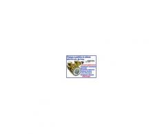 Pompa a paletta in ottone 600 lt/h con By Pass per osmosi inversa e distributori acqua