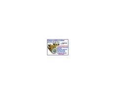 Pompa a paletta in ottone 200 lt/h con By Pass per osmosi inversa, distributori acqua