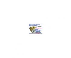 Pompa a paletta in ottone 800 lt/h con By Pass per osmosi inversa e distributori acqua
