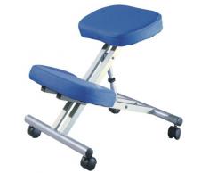 Alsapan 91537 - Sedia da ufficio Ergo ergonomica, 58 x 47 x 60 cm, blu