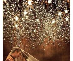 DulceCasa 3x 3m Tenda Luminosa di Natale 300 LED 100% impermeabile Luce per Interno / esterno Natale stringa fata nozze Luci della tenda 220V nuziale / hotel / festival / Ristoranti barriera fotoelettrica - Blanc Chaud