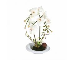 Composizione di fiori artificiali, orchidee-Vaso in ceramica, colore: bianco