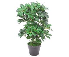 Schefflera Arboricola Pianta Albero Artificiale Plastica 60cm Abitacolo Decovego