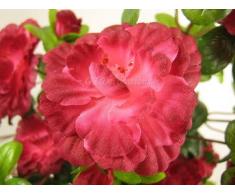 Artificiale Azalea Pianta rampicante con fiori boccioli Vine da GT Decorazioni Fuchsia