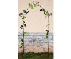 Spalliera Arco di rose 80008 Aiuto-arrampicata Traliccio alt-160cm Aiuto-arrampicata Pergola Recinto