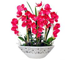 orchidee phalaenopsis Bonsai semi balcone farfalla fiore di orchidea per casa Impianto 100 semi / pacchetto