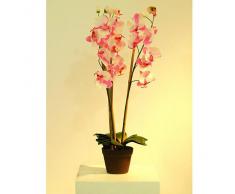 Euro Palms 82530327 - Pianta artificiale, Orchidea, 80 cm, colore: Rosa