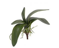 Foglie di orchidea phalaenopsis artificiale con radici aeree, verde, 17 cm, Ø 26 cm - Foglie decorative / Orchidea finta - artplants