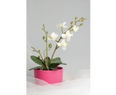 Orchidea artificiale ZEHRA in zolla di terra con radici aeree, crema, 30 cm - Orchidea decorativa / Fiore con foglie - artplants