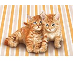 Completo Lenzuolo MATRIMONIALE GABEL PLANET kitty