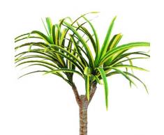 Euro Palms 82505775 - Pianta artificiale, 50 cm, colore: Giallo/Verde