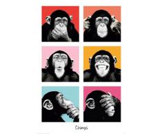 Empire, 409256, Poster, motivo: The Chimp, 61 x 91,5 cm, Multicolore (Mehrfarbig)