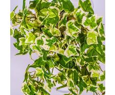 Edera artificiale, 230 foglie, su stelo, verde-bianco, 30 cm -Edera decorativa / Pianta rampicante - artplants