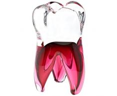 DENTE- SCULTURA PER STUDIO DENTISTICA - statuetta per vetrina, trasparente/rosso, 16 cm, ogni pezzo è unico, bel regalo per l'anniversario del Suo dentista (ArtGlass powered by CRISTALICA)