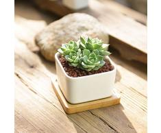 All' ingrosso Vasi per Fiori, Y & M (TM) Eleganza interna per casa e vasi da fiori in ceramica Piante Vaso per piante grasse e cactus con vassoio in bambù