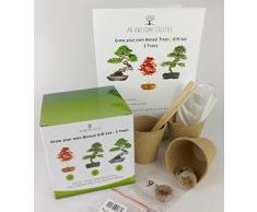 3 TIPI DI SEMI DI BONSAI. Crescere il proprio albero Bonsai e semplice – Ottima idea da regalo. Contiene: semi di bonsai, vasi per piante biodegradabili, bastoncini segna piante, chiare e semplici istruzioni per la semina e la