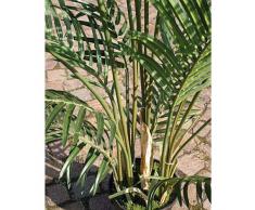 Palma areca artificiale in vaso cementato, 12 ventagli, DELUXE, 90 cm - Pianta tropicale / Palmizio - artplants