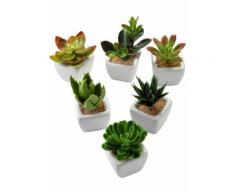 Piante grasse artificiali (set 6 pezzi) (Verde) - bpc living