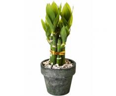 Pianta artificiale Bambù della fortuna in vaso (Verde) - bpc living