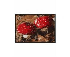 Zerbino Funghetti (Rosso) - bpc living