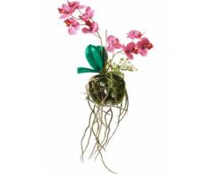 Orchidea artificiale kokedama (rosa) - bpc living
