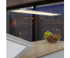 vidaXL Pannello a LED Luce da soffitto 30 x 120 cm 40 W bianco caldo