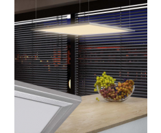 vidaXL Pannello a LED Luce da soffitto 60 x cm 40 W bianco caldo