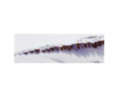 Quadro in plexiglas 50x150cm CAP-FERRET