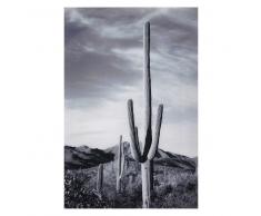 Quadro foto in plexiglas 80x120 cm ARIZONA