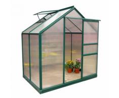 Evergreen Serra in alluminio 190x252xh201cm per piante fiori ortaggi giardino G1001F-C
