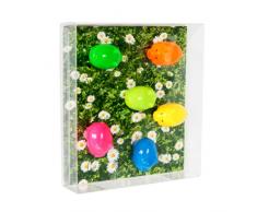 Trendform maiali assortiti animali Style Ufficio Magnetici, Set di 6, multi-colore