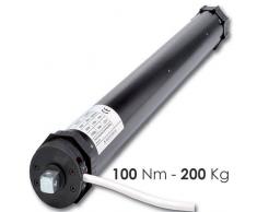 Rogiam Motori per tapparelle tende da sole 100 Nm(200 kg) (as/ma100)