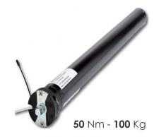 Rogiam Motori Radiocomandati per tapparelle e tende da sole 50 Nm(100 kg) (as/mat50)