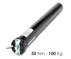 Rogiam Motore tapparelle e tende da sole 50 Nm (100 kg) (as/ma50)