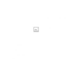 Electrolux Scopa elettrica ELECTROLUX ZS335