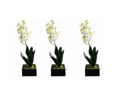 Orchidea artificiale