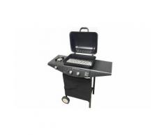 Barbecue a 2 fuochi basic