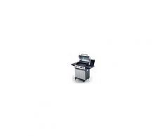 Barbecue a gas da esterni SR 4 zone di cottura con comandi separati Modello BBQ X4