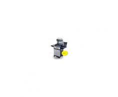 Barbecue a gas da esterni SR 3 zone di cottura con comandi separati Modello BBQ X3
