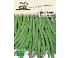 Arcoiris BU016 Sementi