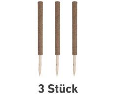 Windhager Pflanzstab Kokos Set 89128-Set di 3 Bastoncini Piante rampicanti in Fibra di Cocco Naturale, estensibili, Marrone, 80 cm