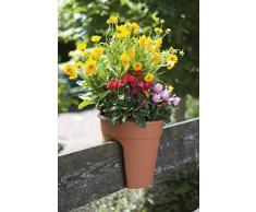 KHW 34137 Vaso di Fiori Clip del Fiore, Set di 3, Marrone Terracotta